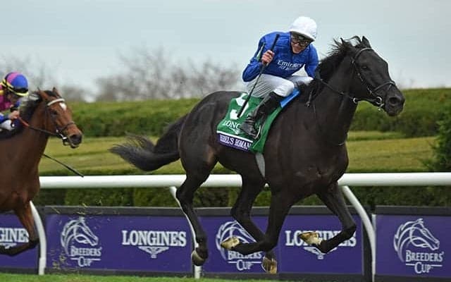 リバティアイランドに完勝のG1・6勝馬 BCターフ2勝目へ、名伯楽は「1番人気は当然」