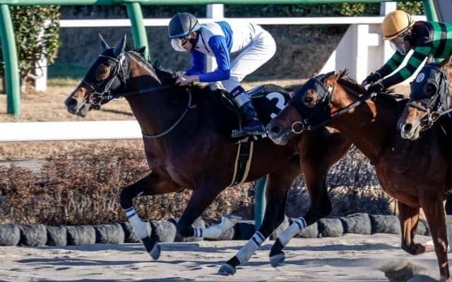 【みやこS展望】チャンピオンズCの前哨戦、好走条件に合致するロードアヴニールが狙い