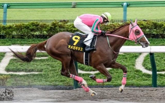 【みやこS出走馬・騎手確定】オメガギネス＆藤岡佑介騎手、サンライズジパング＆鮫島克駿騎手など15頭
