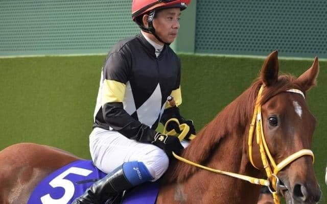 フランケル×桜花賞馬レッツゴードンキの超良血 初戦から好勝負期待