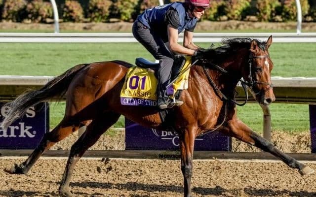 世界的トレーナーがBCクラシック初Vへ 「この馬は特別」と期待の英ダービー覇者で参戦