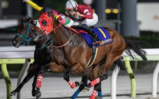 フォーエバーヤングが再び世界制覇にチャレンジ BCクラシックで快挙なるか