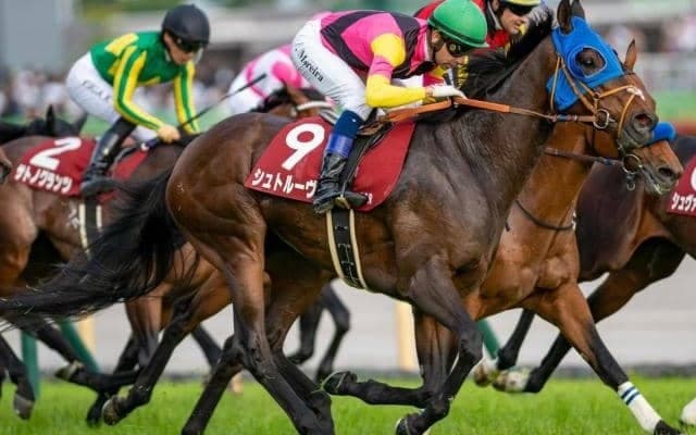 国枝厩舎の2億5000万円馬 期待に応えるデビューVなるか