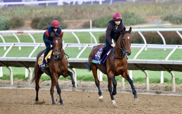 【BCターフ】A.オブライエン師「良い枠」ルクセンブルクはチャンス十分