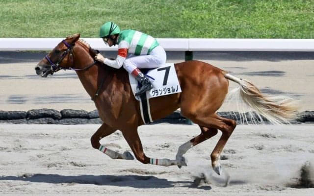 【JBC2歳優駿】グランジョルノなどJRA馬は5頭