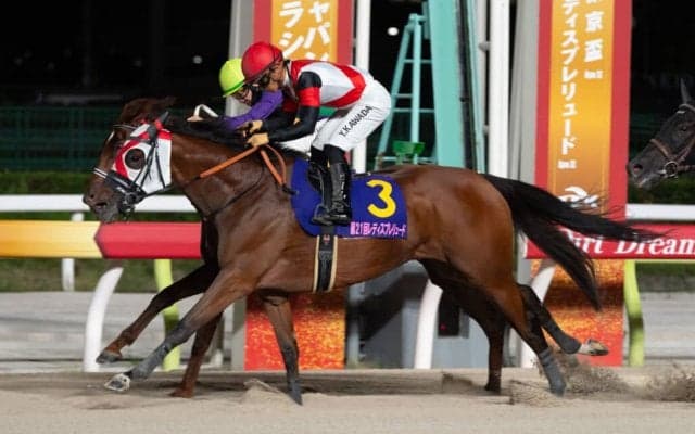【JBCレディスクラシック】グランブリッジなどJRA馬は5頭