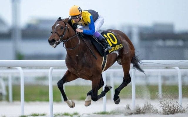【JBCクラシック】武豊ノットゥルノなどJRA馬5頭