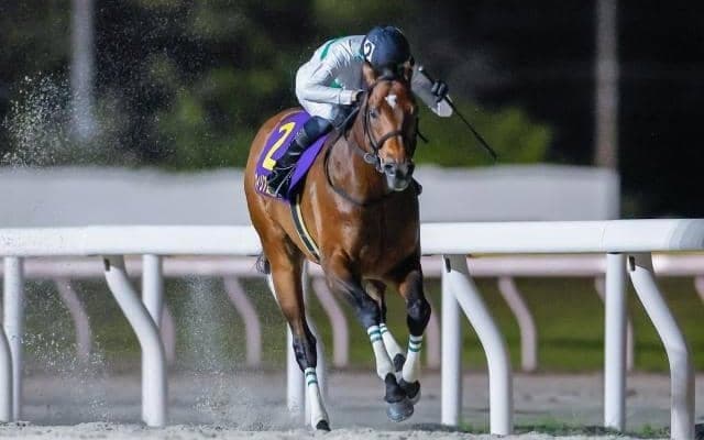 【佐賀・JBCクラシック枠順】前哨戦の日本テレビ盃を制したウィリアムバローズは7枠9番