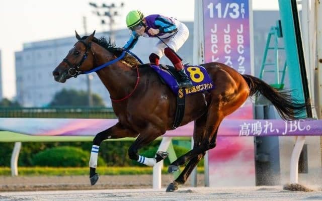 【佐賀・JBCスプリント枠順】連覇狙うイグナイターは8枠12番