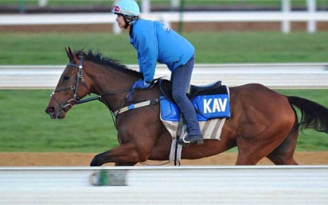 【アルゼンチン共和国杯／追い切り診断】打倒クロミナンス一角に「S」の最高評価　「スイスイ登坂」で気配上昇、重賞初Vへ意欲