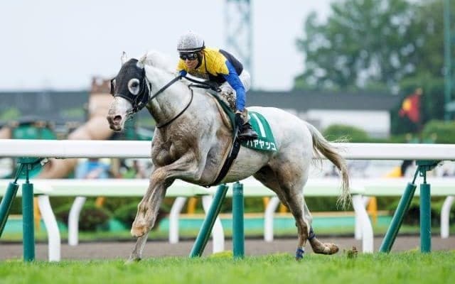 今週末は天気下り坂 JRA4重賞で注目したい重馬場巧者は？