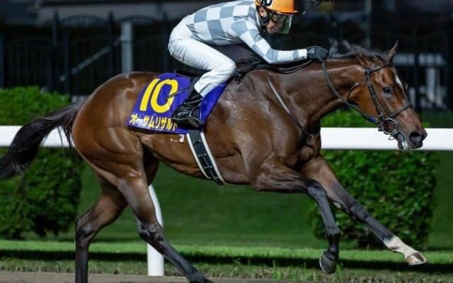 今週の武豊騎手はデルマーから佐賀で4鞍 ブリーダーズカップ初制覇目指す