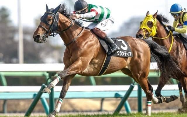 【福島記念想定馬・騎手】ドクタードリトル、フライライクバードなど19頭