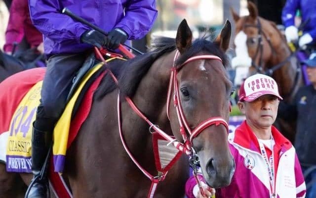 10競走に計19頭の日本馬出走 ブリーダーズカップは馬券発売が無いレースも見どころ盛りだくさん