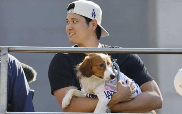 愛犬デコピンに米熱視線「WSチャンピオンだ！」　登場だけで異例の“一斉速報”