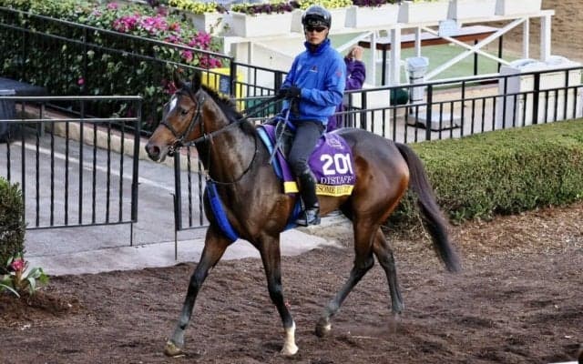 【装蹄師・西内荘コラム】オーサムリザルトの勝負蹄鉄を依頼