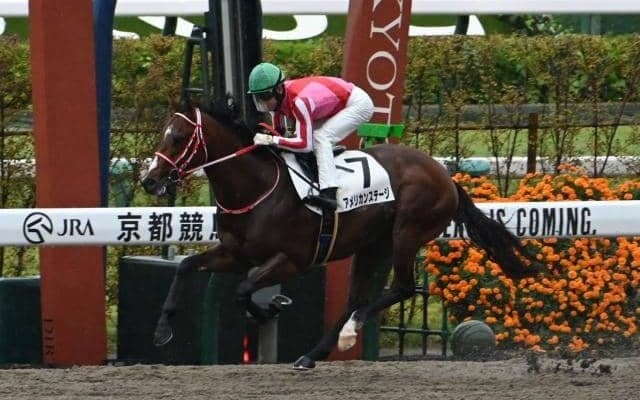 2歳コースレコードを15年ぶり更新 アメリカンステージが大差圧勝/京都2R