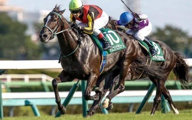 【豪・ゴールデンイーグル結果】英国のレイクフォレストがV 日本勢は着外