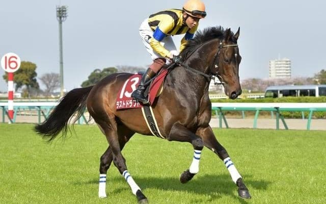 19年の京成杯覇者ラストドラフトが登録抹消 今後は乗馬に