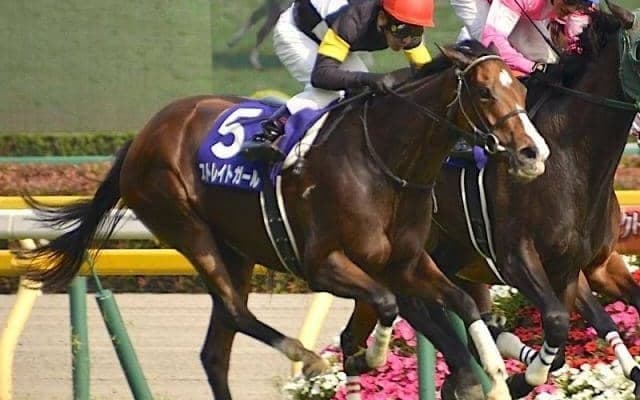 母はGI・3勝馬 良血のエピファネイア産駒がデビュー勝ち狙う