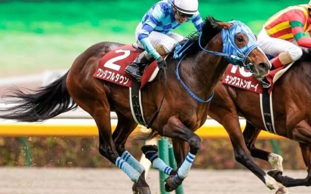 重賞2勝のワンダフルタウンが登録抹消 今後は乗馬となる予定