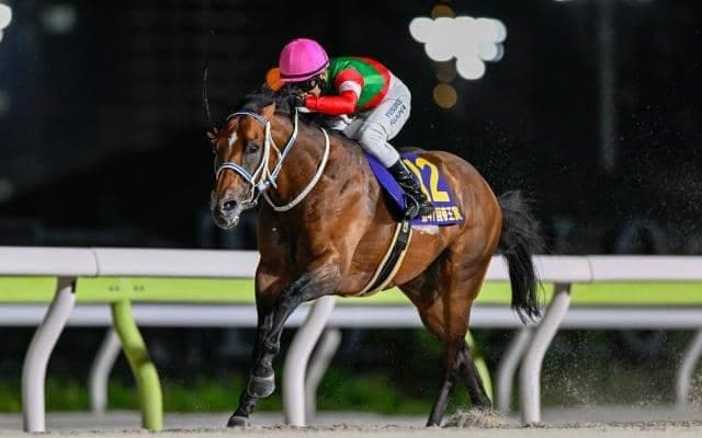 今年の帝王賞覇者キングズソードが左前浅屈腱炎を発症 9か月以上の休養を要する見込み