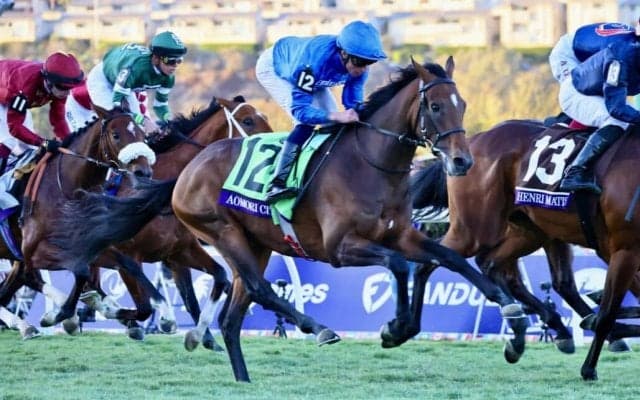 【BCジュベナイルターフ】アオモリシティーが3着…ビュイック「ゲートの状況が違えば…」