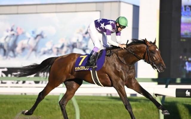 【今日の注目ポイント】東京でAR共和国杯と京都ではみやこS