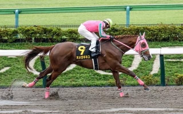 【みやこS予想】チャンピオンズCへの切符を手に入れるのは？ 最後に脚を使えるかがカギを握る