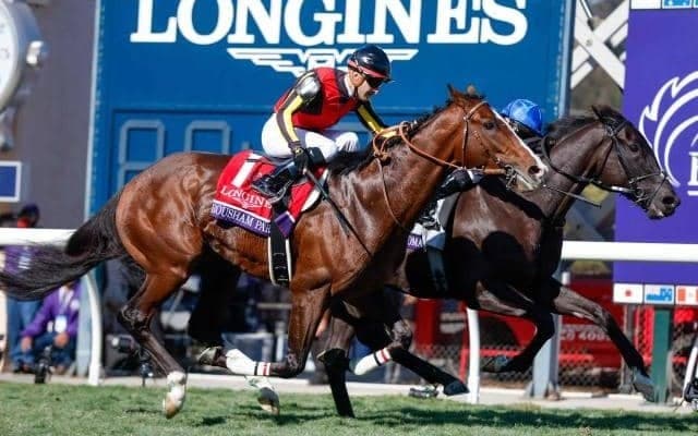 【米・BCターフ結果】レベルスロマンスが2度目のBCターフ制覇 ローシャムパーク2着、シャフリヤール3着