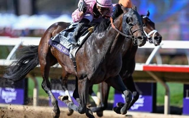 【米・BCクラシック結果】地元シエラレオーネがV 日本勢はフォーエバーヤングが3着