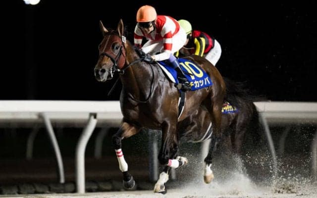 【JBCスプリント】武豊チカッパは8枠11番