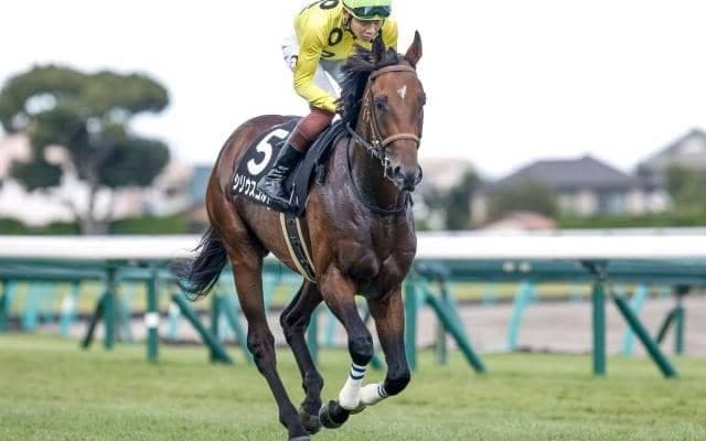 【福島記念】シリウスコルト、ドクタードリトルらが登録