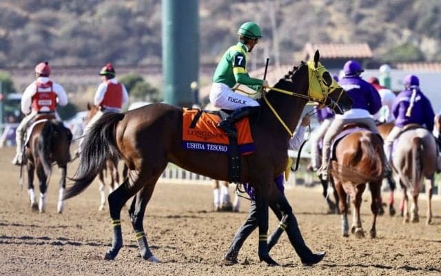 【BCクラシック】川田「レース前まではとても良い雰囲気でした」ウシュバテソーロは10着
