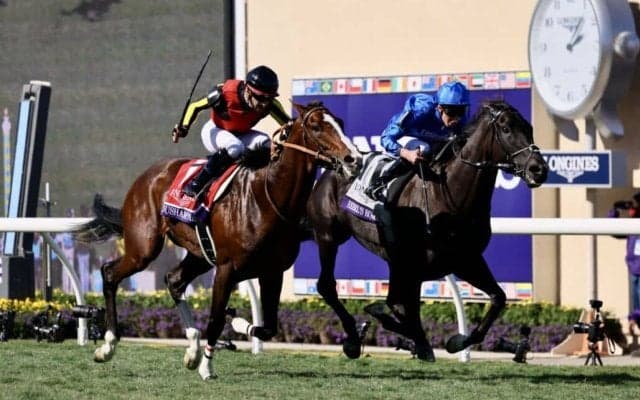 【BCターフ】アップルビー師「特別な馬」レベルスロマンスが2年ぶり2勝目