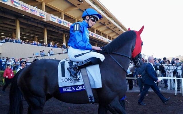 【BCターフ】ビュイック「素晴らしい馬」レベルスロマンスが2年ぶりV