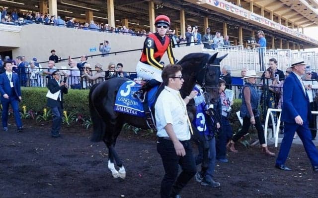 【BCターフ】藤原英師「馬に感謝しなければならない」シャフリヤールは昨年に続いて3着