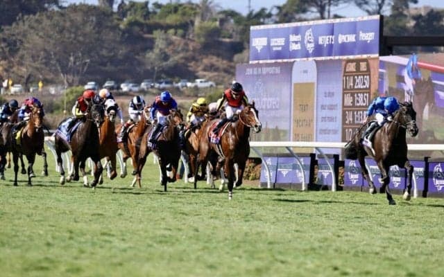 【BCターフ】C.デムーロ「少し小回りがきつかった」シャフリヤール2年連続の3着