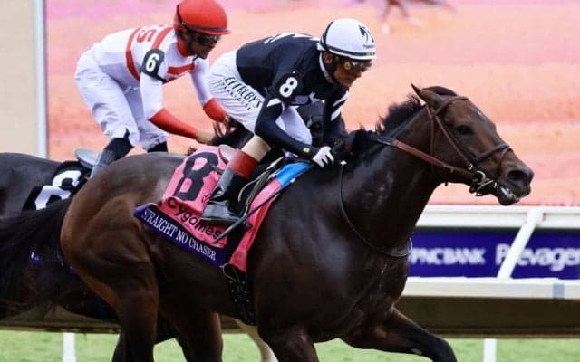 【BCスプリント】ヴェラスケス騎手「誇りに思います」ストレイトノーチェイサーが抜け出す