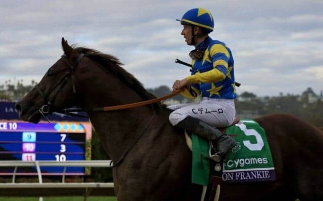 【BCスプリント】斉藤崇師「状態は良かったのですが…」ドンフランキーは9着