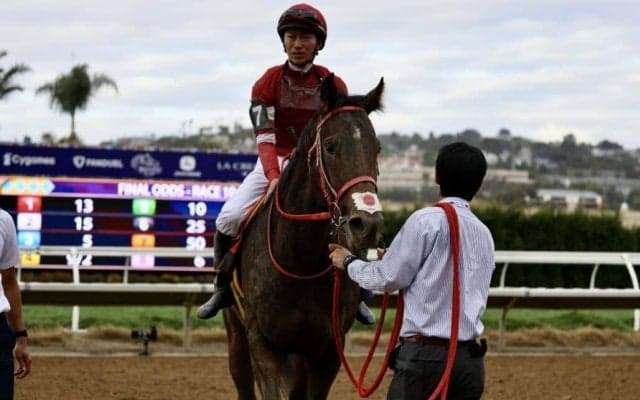 【BCスプリント】菅原明「リズムが良くなかった」…メタマックスは8着