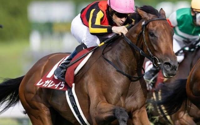 エリザベス女王杯など5重賞 地方ではJBC/今週の競馬界の見どころ