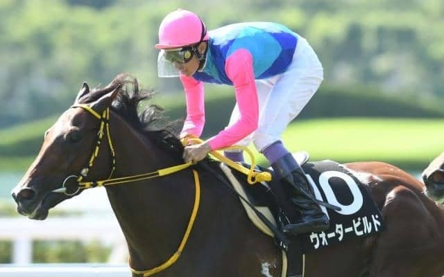 初年度6頭の“レア産駒”からJRA勝ち馬が誕生 ウォータービルド産駒初V