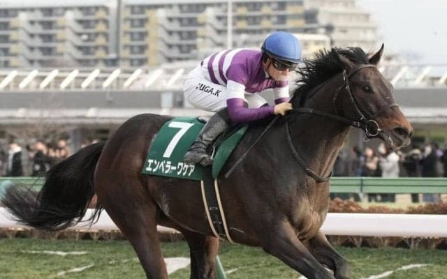 【武蔵野S登録馬】エンペラーワケアなど18頭