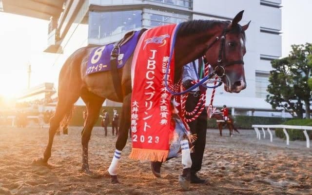 【今日の注目ポイント】門別競馬×佐賀競馬 北から南まで日本縦断の「JBC」