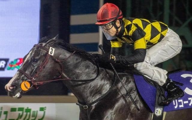 【門別・JBC2歳優駿注目馬】昨年はフォーエバーヤングがここから世界へ 中央・地方から素質馬が集結