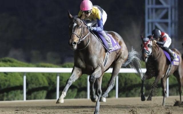 【佐賀・JBCクラシック注目馬】開催メインを飾る大一番 佐賀記念覇者のノットゥルノが中心か