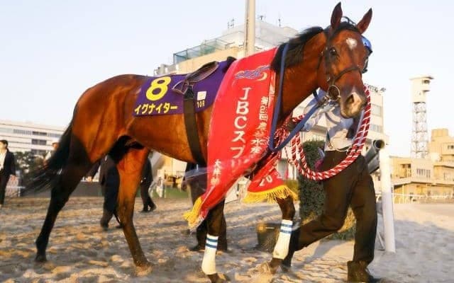 【佐賀・JBCスプリント注目馬】重賞勝ち馬が数多く出走 豪華メンバーで争われる砂の短距離王者決定戦