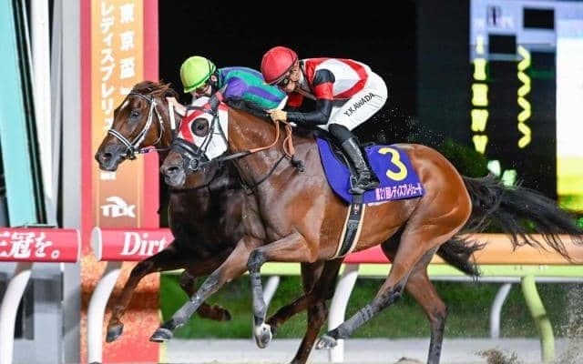 【佐賀・JBCレディスC注目馬】昨年の1、2着馬が再び激突 新興勢力も加わり激戦必至