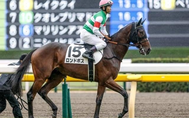 【デイリー杯2歳S見どころ】末脚鮮やかだったロンドボスの決め手に注目
